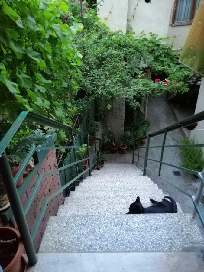 Guesthouse Different Τυφλίδα Εξωτερικό φωτογραφία